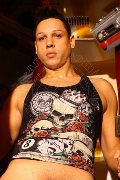 Foto Alejandro El Toro Sexy Boy San Paolo 005511949066337 - 4