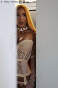 Foto Al�cia Lins Sexy Trans Milano 3247827663 - 81