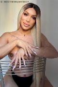 Foto Angel Bunny Sexy Trans Milano 3474642611 - 1