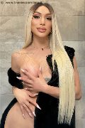 Foto Angel Bunny Sexy Transescort Milano 3474642611 - 3