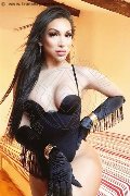Foto Angel Bunny Sexy Transescort Milano 3474642611 - 31
