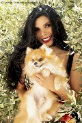 Foto Ariadna Sexy Trans Bologna 3887519396 - 62