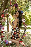 Foto Ariadna Sexy Trans Bologna 3887519396 - 76