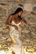 Foto Arianna Ferrari Pornostar Sexy Transescort Roma 3896178417 - 12