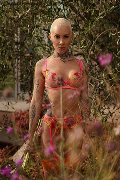 Foto Ath�na Sexy Transescort Milano 3270729765 - 2