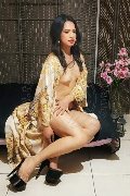 Foto Biancaladyboy Sexy Transescort Pordenone 3932233064 - 37