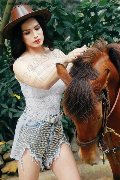 Foto Biancaladyboy Sexy Transescort Pordenone 3932233064 - 9