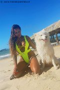Foto Bianca Sales Sexy Transescort Brescia 3444086514 - 117