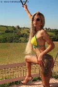 Foto Bruna Xxl Sexy Trans Parma 3295914684 - 4