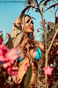 Foto Chrystal Medeiros Pornostar Sexy Trans Roma 3898313619 - 38
