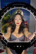 Foto Desirre Sexy Trans Alessandria 3922832689 - 7