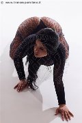 Foto Erika Sexy Girl Avellino 3385964983 - 17
