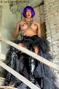 Foto Erotika Flavy Star Sexy Trans Bergamo 3387927954 - 56