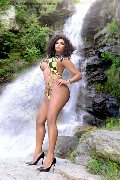 Foto Estrella Sexy Trans Torino 3801783164 - 93