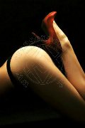 Foto Fenix Sexy Mistress Alessandria 3388830800 - 15