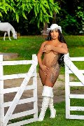 Foto Gabriellaxxl Brasile Sexy Trans Milano 3292213799 - 14