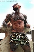 Foto Gianluigi Sexy Boy Olbia 00447887199472 - 67