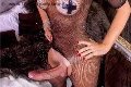 Foto Hot Ale Cavallona Sexy Transescort Legnano 3508935739 - 7