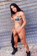Foto Hot Sabry Sexy Transescort Recife 005581995397865 - 2