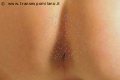 Foto Hot Valeria Tx Sexy Trans Grosseto 3463009653 - 5
