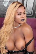 Foto Ivy Muller Sexy Transescort Bergamo 3279251190 - 25