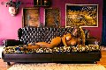 Foto Jessica Aryani Sexy Transescort Brescia 3932507943 - 18