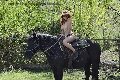 Foto Karyna Sexy Girl Chiavari 3342341880 - 22