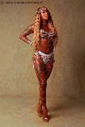Foto Kelly Rios Sexy Trans Alba Adriatica 3249081788 - 1