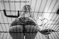 Foto Lady Giuliette Sexy Mistress Verona 3486833721 - 16
