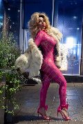 Foto Lady Greice Sexy Trans Isernia 3280271923 - 6