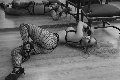 Foto Lady Kika Doncato Sexy Mistresstrans Forl� 3937317905 - 6