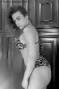Foto Leah Sexy Transescort Pisa 3803804823 - 114