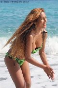 Foto Liisa Asiatica Ladyboy Sexy Transescort 3489026722 - 311