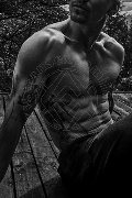 Foto Luca Ferrari Sexy Boy Verona 3534831489 - 9
