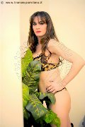 Foto Marzia Dornellis Sexy Transescort Alba Adriatica 3791549920 - 16