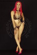 Foto Nady Sexy Transescort Vicenza 3338758341 - 139