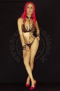 Foto Nady The Best Sexy Transescort Vicenza 3338758341 - 118