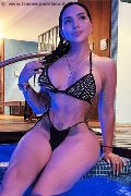 Foto Nicolette Sexy Escort Roma 3938153445 - 4
