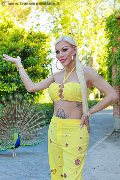 Foto Nina La Divina Sexy Trans Ibiza 0034617911341 - 18