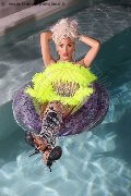 Foto Nina La Divina Sexy Transescort Ibiza 0034617911341 - 82