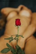 Foto Nina La Vera Dea Sexy Transescort Ginevra 3759884313 - 151