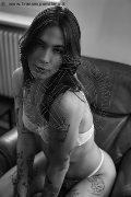 Foto Nyx Sexy Transescort Milano 3295371331 - 34
