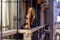 Foto Rayca Sexy Trans San Gallo 3485638746 - 256