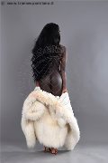 Foto Safira Snt'z  Sexy Trans Alba Adriatica 3278243596 - 72