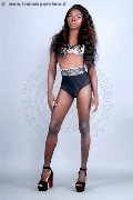 Foto Safira Sant'z  Sexy Transescort Alba Adriatica 3278243596 - 46