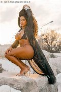 Foto Sandra Ravach Sexy Transescort Reggio Emilia 3341547195 - 6