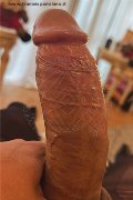  Trans Escort Adriana Ventury Pornostar 320 16 06 762 foto selfie 174