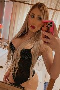 Palermo Trans Alejandra Holguin 331 40 81 639 foto selfie 26