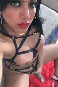 San Paolo Trans Escort Aylla Gattina Pornostar 347 08 83 203 foto selfie 59