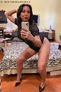 Alba Adriatica Trans Emme 333 16 48 972 foto selfie 140